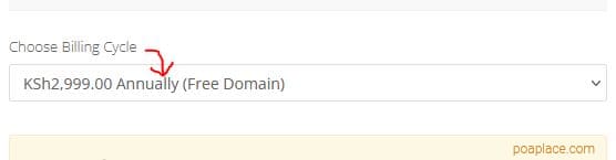 HostPinnacle Hosting and Domain Billing Cycle