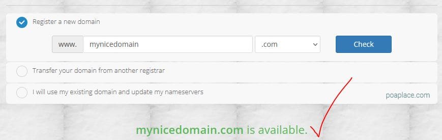 Lenasi Domain Availability Check