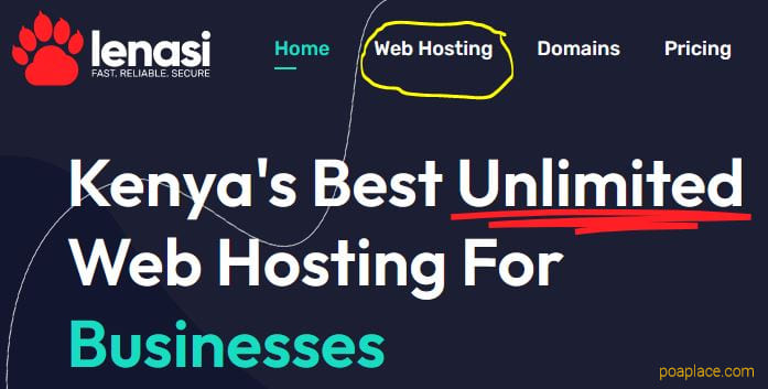 Lenasi Cloud Web Hosting Services