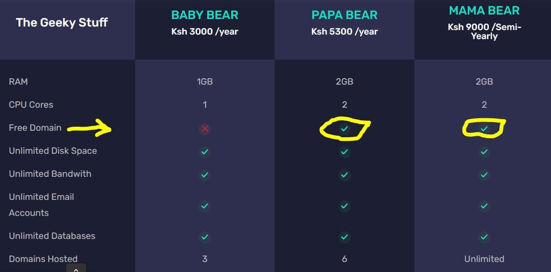 Lenasi Hosting Package Selection